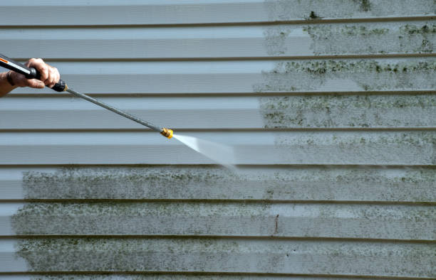 Best Driveway Pressure Washing  in Beechwood Trails, OH